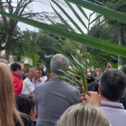 Domingo de Ramos - 02/04/2023