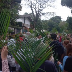 Domingo de Ramos - 02/04/2023