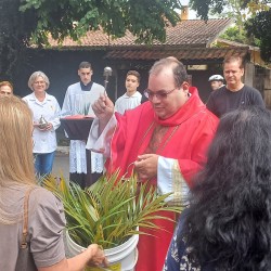 Domingo de Ramos - 02/04/2023