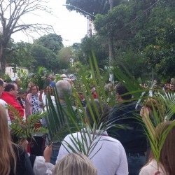 Domingo de Ramos - 02/04/2023